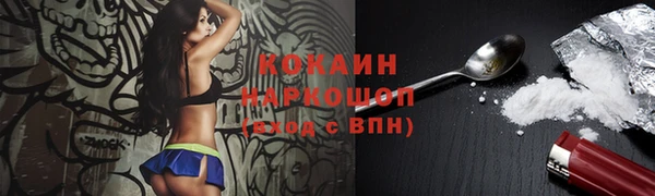 стафф Алексин
